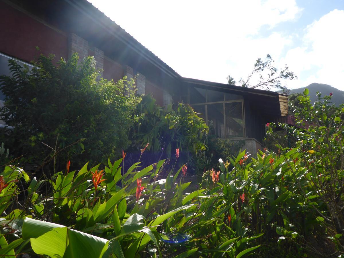 The Golden Frog Inn El Valle de Anton Екстер'єр фото